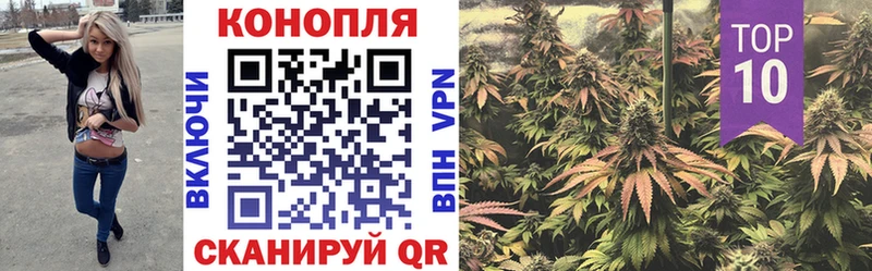 Где купить наркоту Губаха A-PVP  COCAIN  Мефедрон  Псилоцибиновые грибы  ГАШ 