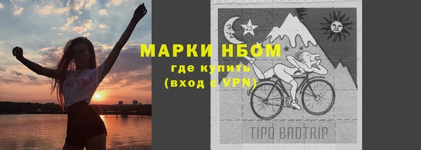 гашик Балахна
