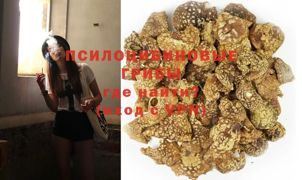 хмурый Ладушкин